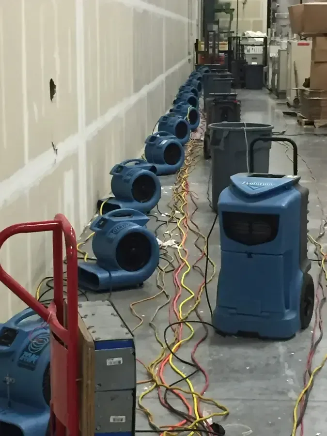 Air movers and dehumidifiers lined along a hallway with walls cut low