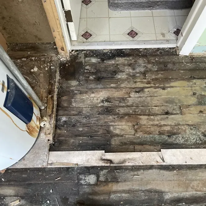 Water damaged subfloor exposed at a doorway after the wet flooring was pulled up for drying